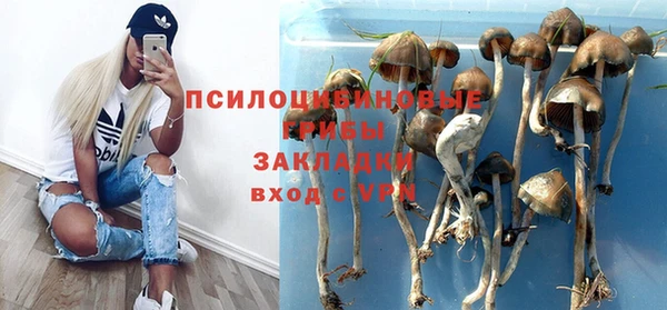 ALPHA PVP Баксан