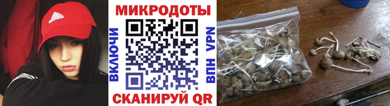 Галлюциногенные грибы Psilocybine cubensis  Купить закладки  Суджа 
