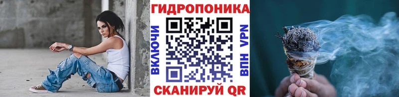 Бошки Шишки THC 21% Купить Суджа